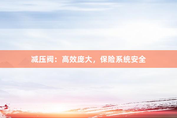 减压阀:高效庞大,保险系统安全